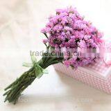 First Class Pink Statice Export Without Middleman For Home Decoration thumbnail-1