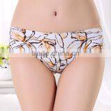 Net Sets Hot Sale Photos Girl Image Full Sexy Open Photo Ladies Underwear thumbnail-3