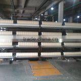 100% 250TEX/1 NZ Wool Yarn Raw White for Carpet