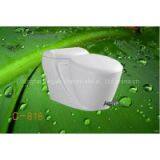 Foot Stepping Toilet thumbnail-1