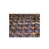 Sell Stainless Steel Scourers