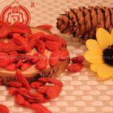 Health Food Ningxia Dried Goji Berry China Goji Berries thumbnail-2