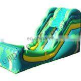 2015 Lastest Style Beautiful Commercial Inflatable Slide WS033