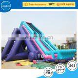 Giant Inflatable for Adult & Kids, Water Slide, Inflatable Slide thumbnail-3