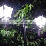 CE ROHS Certification 20W 30W 40W led corn light