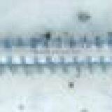 CHINA CHEAP DIN7981 PHILLIPS PAN HEAD TAPPING SCREW thumbnail-4