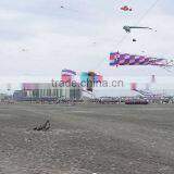 High Quality Customed Windsock