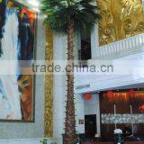 Washington's Palm Tree