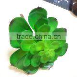 Popular High Simulation Artificial Succulent Plant From China Manufacture thumbnail-4