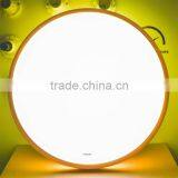 New Design Ceiling Light With Remote Controller With Great Price thumbnail-4