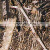 Camoflage Royalty Hydrographic Printing Film WIDTH 100CM GWA372-1 thumbnail-1