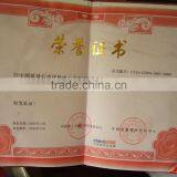 AAA Certificate Spring thumbnail-1