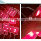 Fast Ultrasonic Cavitation Slimming System Machine Ultrasonic Contour 3 In 1 Slimming Device Price Rf And Cavitation Slimming Machine thumbnail-6