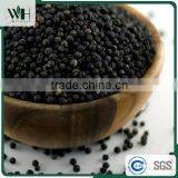 Vietnam Pure Natural Black Pepper 550gl 500gl for Extract thumbnail-2