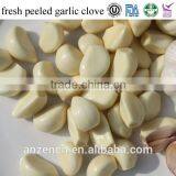 China Fresh Garlic Cloves Products Association thumbnail-1