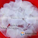 FC-501 Industry Commercial Vegetable Ginger Potato Slicer Machine thumbnail-5