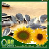 Wholesale Round Shape Striped Sunflower Black Seed