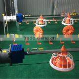 Poultry Chain Feeding System for Breeder