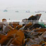 China Supplier Liquid Root Organic Fertilizer for Agriculture thumbnail-2