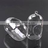 Hanging Micro Landscape Ecological Meaty Plant Glass Vase thumbnail-1