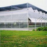 Wholesale Greenhouse thumbnail-1