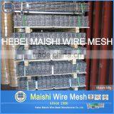 Electro Galvanized Welded Wire Mesh for Fencing thumbnail-4