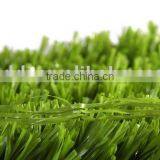 Fibrillated Grass thumbnail-1