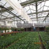 AL Frame Agricultural PE Greenhouse for Sale thumbnail-1