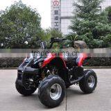 110/250CC Automatic ATV for Sales thumbnail-6