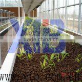 Commercial Glass Multi Span Greenhouse thumbnail-1