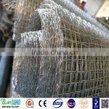 2015 Hot Factory Direct 1/2 Square Flat Crimped Wire Mesh/Heavy Crimped Wire Mesh/Decorative thumbnail-1