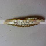 First Grade Cat Food Air Dried Fish thumbnail-2