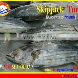 FROZEN W/R SKIPJACK TUNA thumbnail-1
