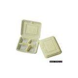 Disposable Food Containers thumbnail-1