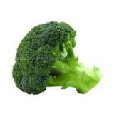 Whole sale fresh broccoli in China