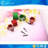 RFID Livestock Pigeon Ring Tags for Poultry Tracking