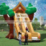 Inflatable Slide, Inflatables, Inflatable Toys DS068
