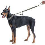 OneTigris Short Bungee Training Leashes With Control Handle thumbnail-2