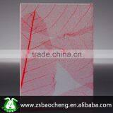 China Customized Fashion Decorative Material Petg Panel