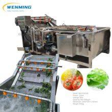 Fruis&Vegetable Bubble Washer Machine Industrial Vegetable Cleaning Equipment for Washing Cherry Tomatoes Celery Spinach Cabbage