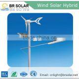 Competitive Price Hot Sale Wind Solar Hybrid Street Light thumbnail-5