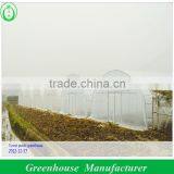 8 m Width Agricultural Tunnel Greenhouse thumbnail-1