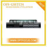 Pure Gigabit Ethernet Switch