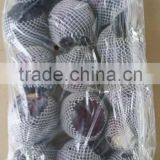 Fresh Cabbage thumbnail-2