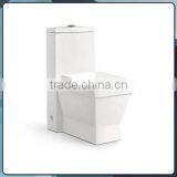 Economic Square Siphonic One Piece Wall Back wc Water Close B0816 thumbnail-1