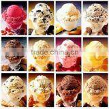 Hot Sale Hard Ice Cream Machine / Batch Freezer (France Compressor)