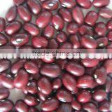 Red Kidney Bean thumbnail-1
