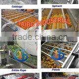 Fruit Processing Machinery Apple Washing Machine thumbnail-4