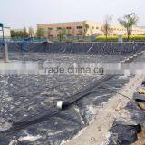 Shrimp and Fish Pond Mulching Film HDPE Liner / Pond Liner for Preventing Virus thumbnail-3