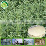 factory Stevia extract powder